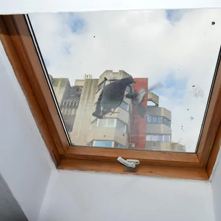 アパート Garsoniere Victor Seaview Aer Conditionat- Bucatarie-primim Carduri Vacanta-pet Friendly La 3 Minute De Plaja Reyna-zoom