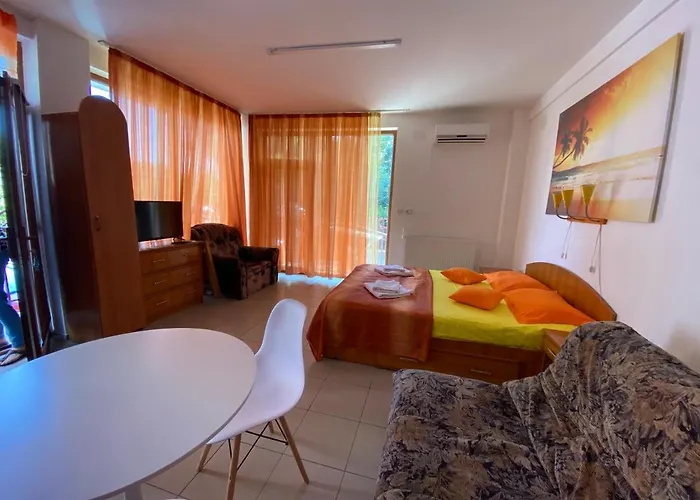 Apartment Garsoniere Victor Seaview Aer Conditionat- Bucatarie-primim Carduri Vacanta-pet Friendly La 3 Minute De Plaja Reyna-zoom *