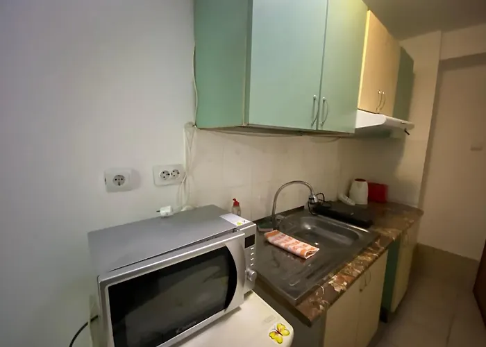 Garsoniere Victor Seaview Aer Conditionat- Bucatarie-primim Carduri Vacanta-pet Friendly La 3 Minute De Plaja Reyna-zoom Apartment